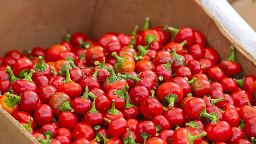 Cherry Pepper